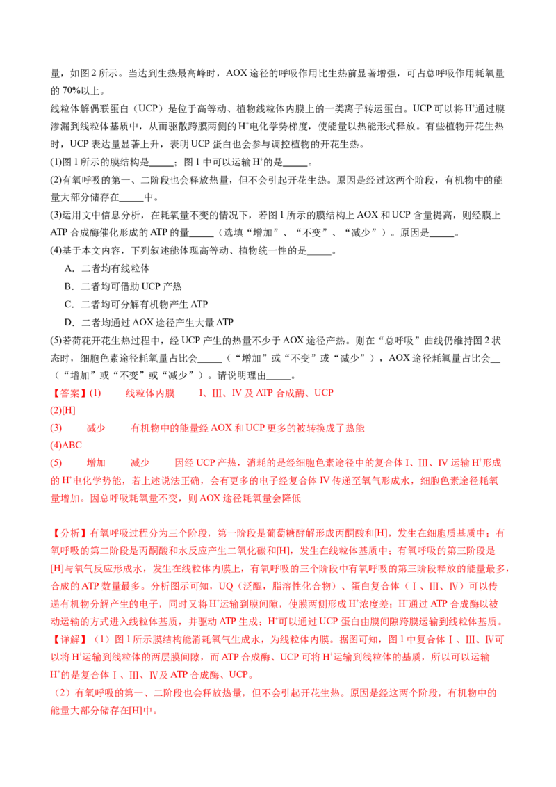 第09讲细胞呼吸（练习）（解析版）_2025年新高考资料_一轮复习_2025年高考生物一轮复习讲练测（新教材新高考）