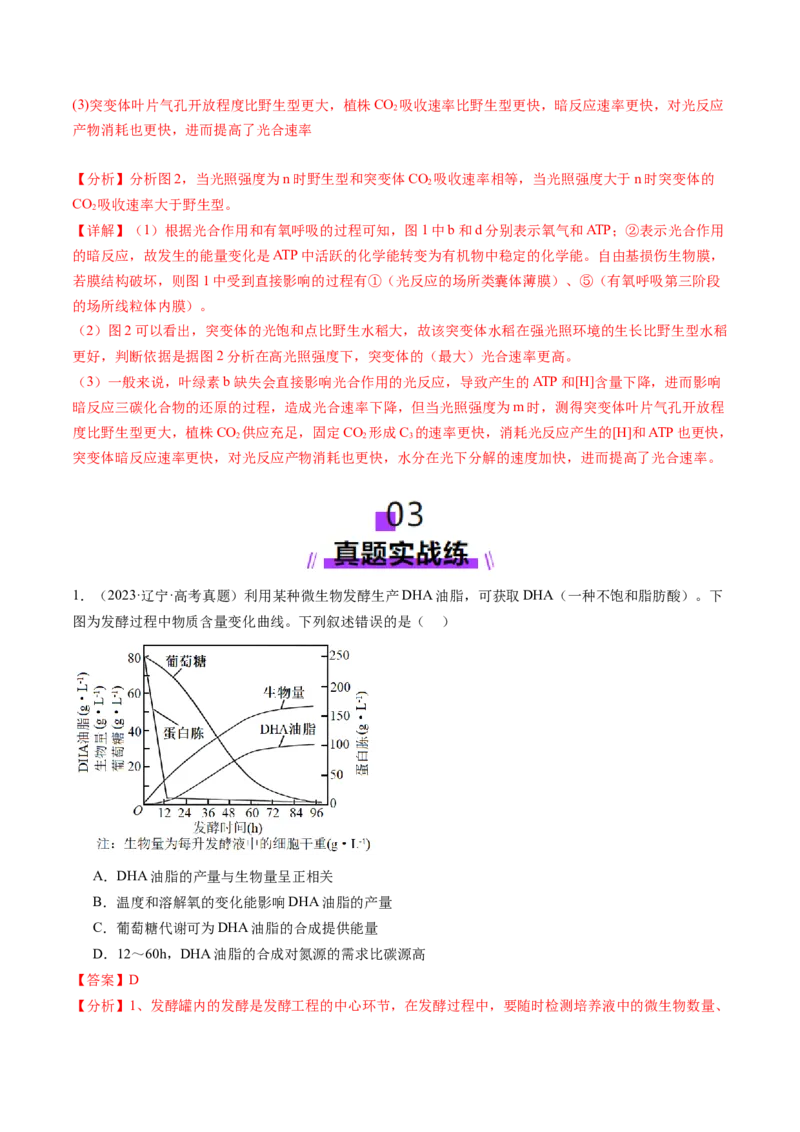 第09讲细胞呼吸（练习）（解析版）_2025年新高考资料_一轮复习_2025年高考生物一轮复习讲练测（新教材新高考）