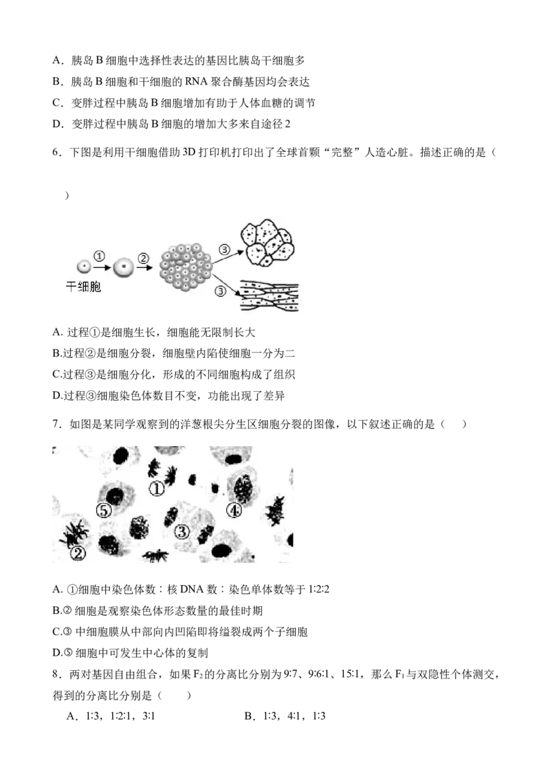 生物试卷_2025年04月试卷_0421四川省达州市万源中学2024-2025学年高一下学期期中考试_四川省达州市万源中学2024-2025学年高一下学期期中考试生物Word版含答案