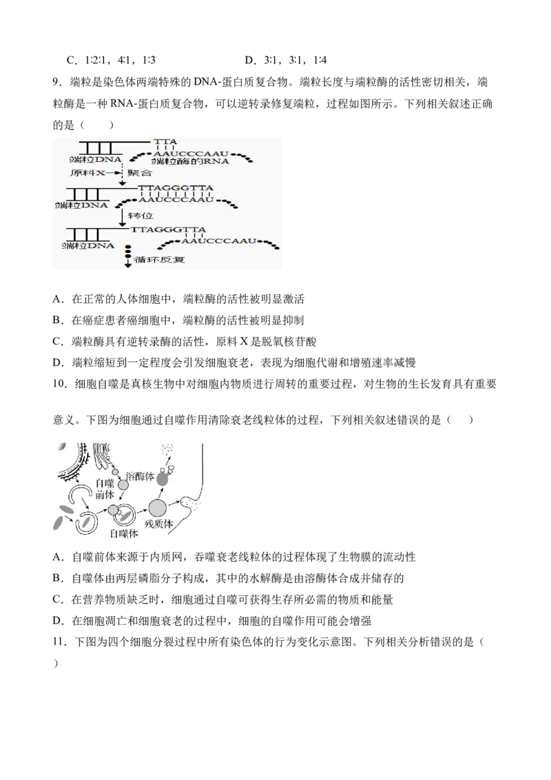 生物试卷_2025年04月试卷_0421四川省达州市万源中学2024-2025学年高一下学期期中考试_四川省达州市万源中学2024-2025学年高一下学期期中考试生物Word版含答案