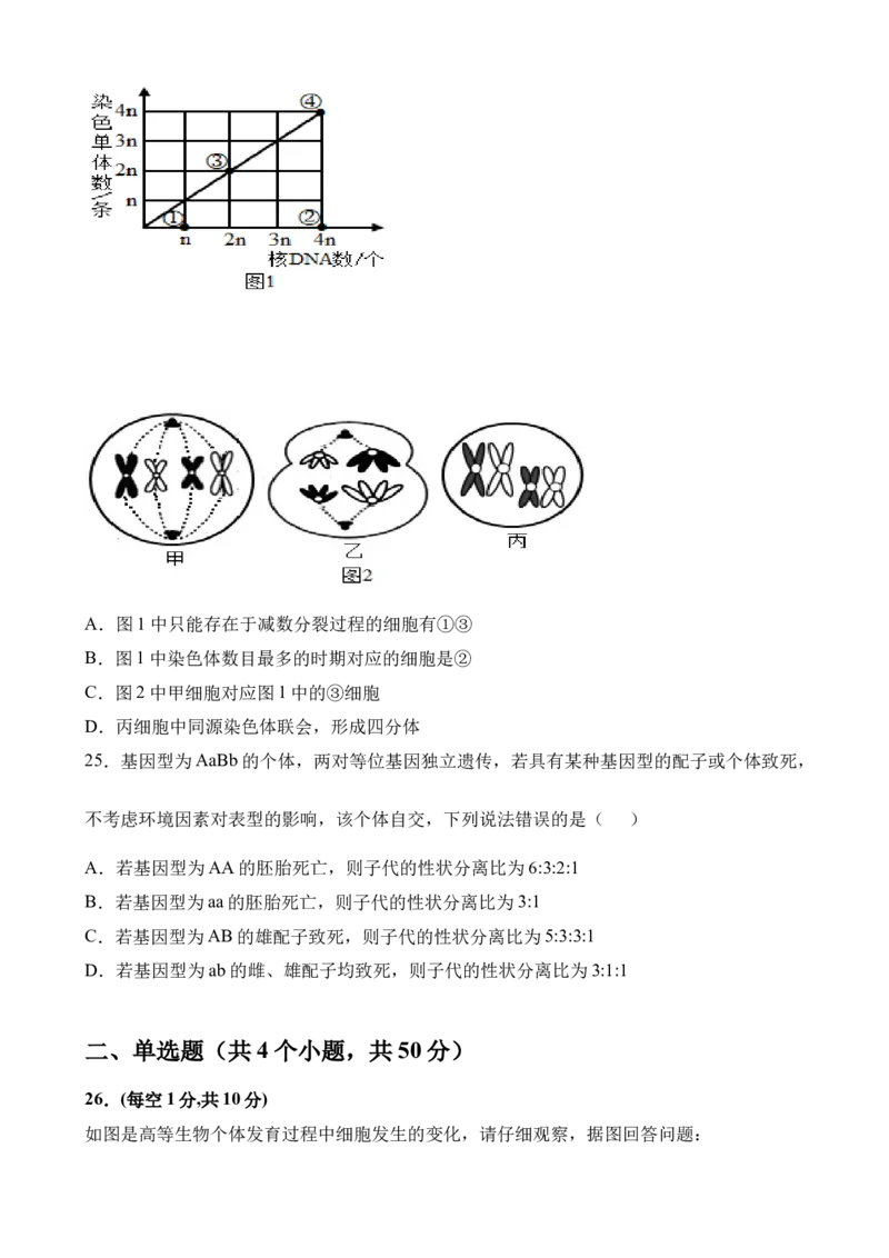 生物试卷_2025年04月试卷_0421四川省达州市万源中学2024-2025学年高一下学期期中考试_四川省达州市万源中学2024-2025学年高一下学期期中考试生物Word版含答案