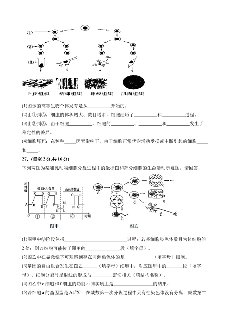 生物试卷_2025年04月试卷_0421四川省达州市万源中学2024-2025学年高一下学期期中考试_四川省达州市万源中学2024-2025学年高一下学期期中考试生物Word版含答案
