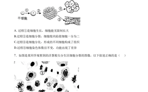 生物试卷_2025年04月试卷_0421四川省达州市万源中学2024-2025学年高一下学期期中考试_四川省达州市万源中学2024-2025学年高一下学期期中考试生物Word版含答案