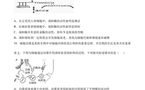 生物试卷_2025年04月试卷_0421四川省达州市万源中学2024-2025学年高一下学期期中考试_四川省达州市万源中学2024-2025学年高一下学期期中考试生物Word版含答案