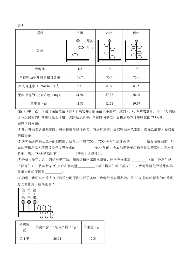 第10讲光合作用（第一课时）（练习）（原卷版）_新高考复习资料_2025年新高考资料_2025年高考生物一轮复习讲练测（新教材新高考）