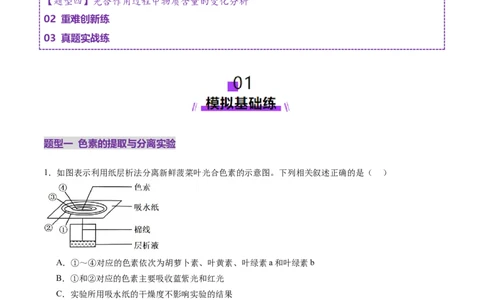 第10讲光合作用（第一课时）（练习）（原卷版）_新高考复习资料_2025年新高考资料_2025年高考生物一轮复习讲练测（新教材新高考）