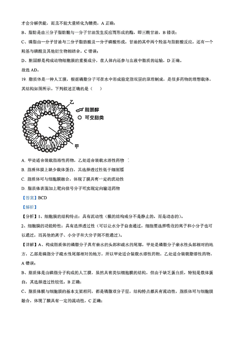 生物答案_2024年11月试卷_1115辽宁省沈阳市联合体2024-2025学年高一上学期11月期中考试_辽宁省沈阳市联合体2024-2025学年高一上学期11月期中考试生物试题含答案