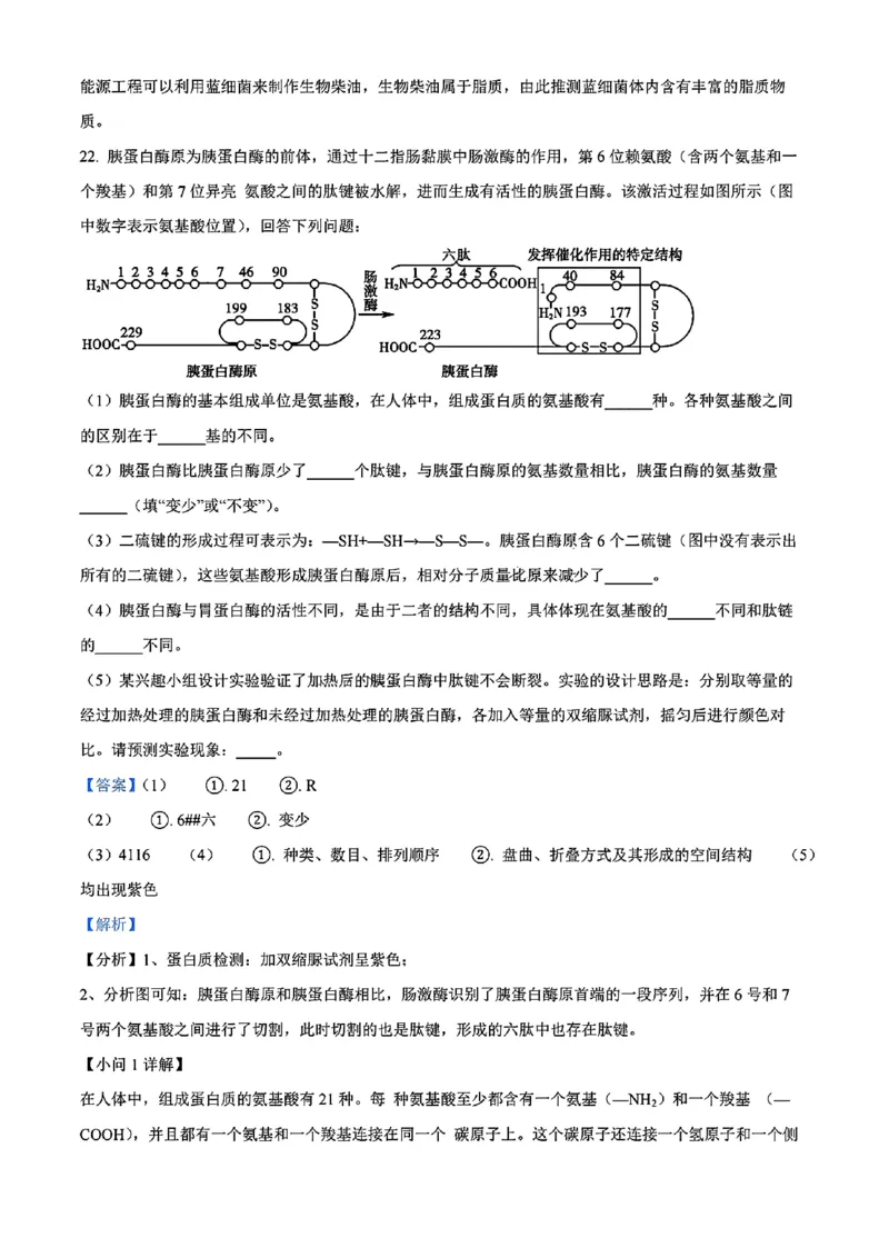 生物答案_2024年11月试卷_1115辽宁省沈阳市联合体2024-2025学年高一上学期11月期中考试_辽宁省沈阳市联合体2024-2025学年高一上学期11月期中考试生物试题含答案