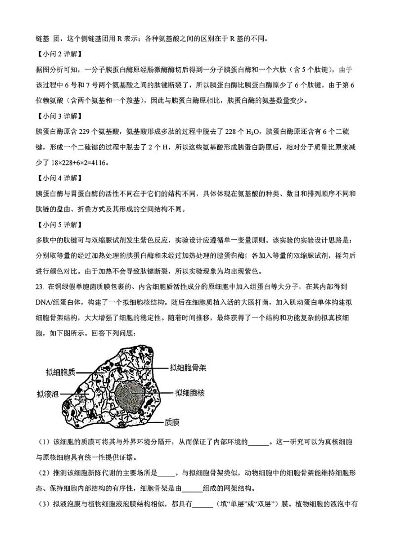 生物答案_2024年11月试卷_1115辽宁省沈阳市联合体2024-2025学年高一上学期11月期中考试_辽宁省沈阳市联合体2024-2025学年高一上学期11月期中考试生物试题含答案