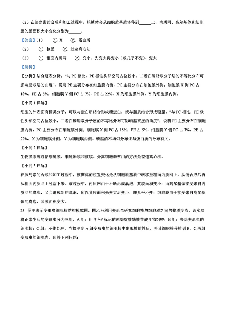 生物答案_2024年11月试卷_1115辽宁省沈阳市联合体2024-2025学年高一上学期11月期中考试_辽宁省沈阳市联合体2024-2025学年高一上学期11月期中考试生物试题含答案