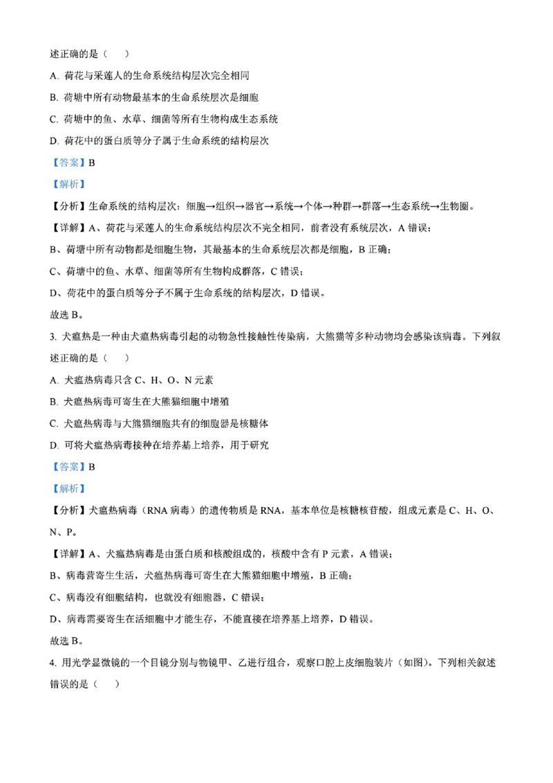 生物答案_2024年11月试卷_1115辽宁省沈阳市联合体2024-2025学年高一上学期11月期中考试_辽宁省沈阳市联合体2024-2025学年高一上学期11月期中考试生物试题含答案