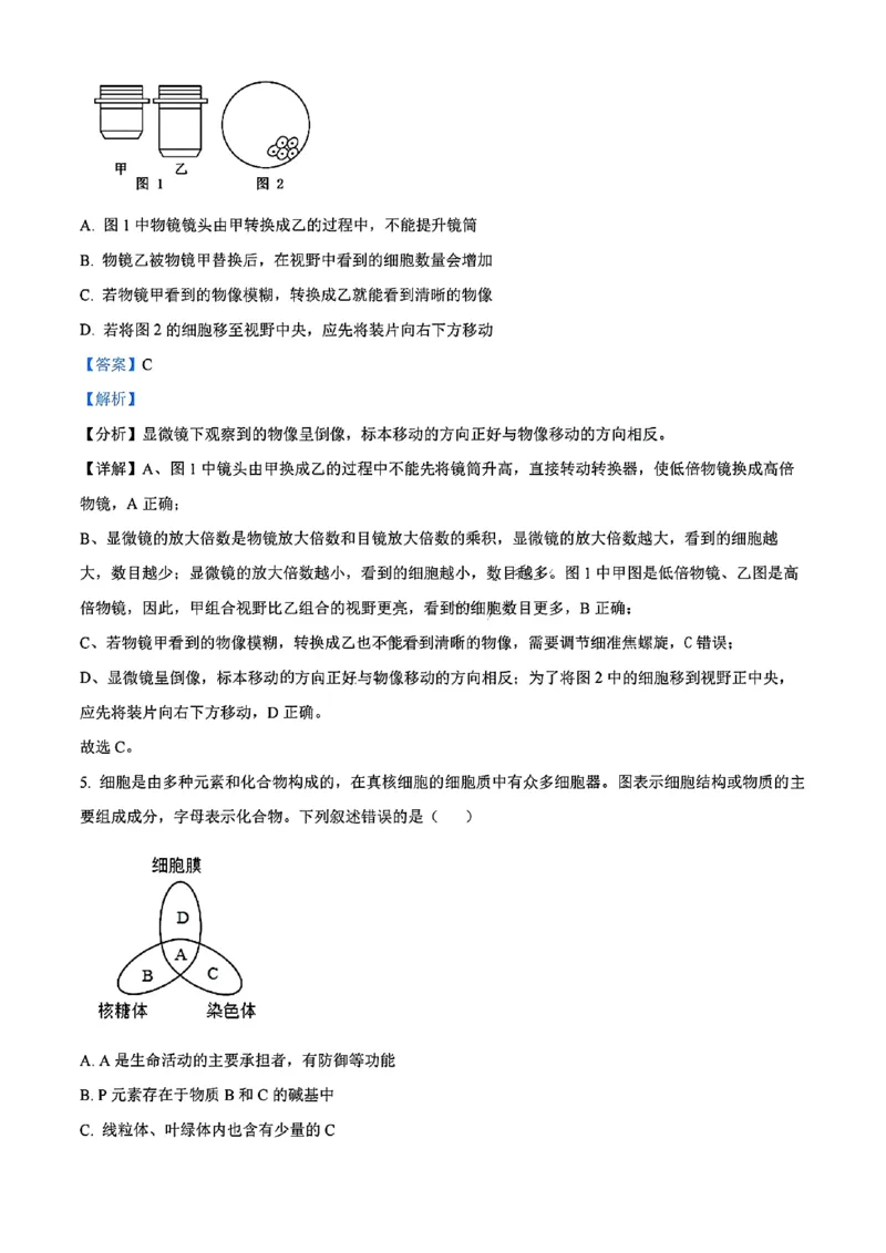 生物答案_2024年11月试卷_1115辽宁省沈阳市联合体2024-2025学年高一上学期11月期中考试_辽宁省沈阳市联合体2024-2025学年高一上学期11月期中考试生物试题含答案