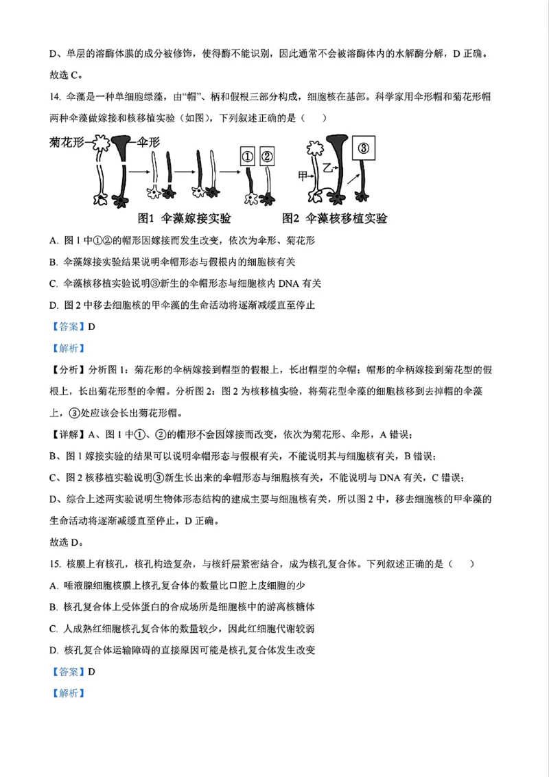 生物答案_2024年11月试卷_1115辽宁省沈阳市联合体2024-2025学年高一上学期11月期中考试_辽宁省沈阳市联合体2024-2025学年高一上学期11月期中考试生物试题含答案