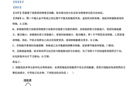 生物答案_2024年11月试卷_1115辽宁省沈阳市联合体2024-2025学年高一上学期11月期中考试_辽宁省沈阳市联合体2024-2025学年高一上学期11月期中考试生物试题含答案
