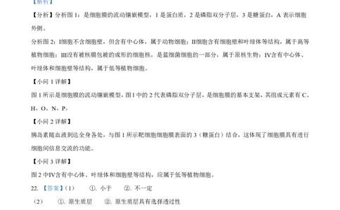 生物答案_2025年10月高一试卷_251024山西省太原市外国语学校2024-2025学年高一上学期10月考诊断_山西省太原市外国语学校2024-2025学年高一上学期10月考诊断生物试题含答案