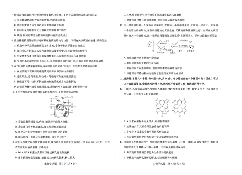 生物学江西高一上期中_2025年12月高一试卷_251206江西省天一大联考2025-2026学年（上）高一年级期中考试（全）