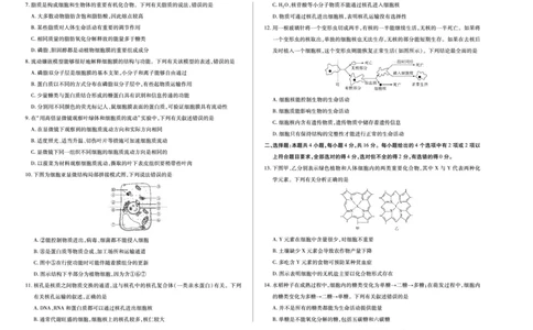 生物学江西高一上期中_2025年12月高一试卷_251206江西省天一大联考2025-2026学年（上）高一年级期中考试（全）