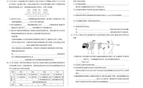 生物学江西高一上期中_2025年12月高一试卷_251206江西省天一大联考2025-2026学年（上）高一年级期中考试（全）