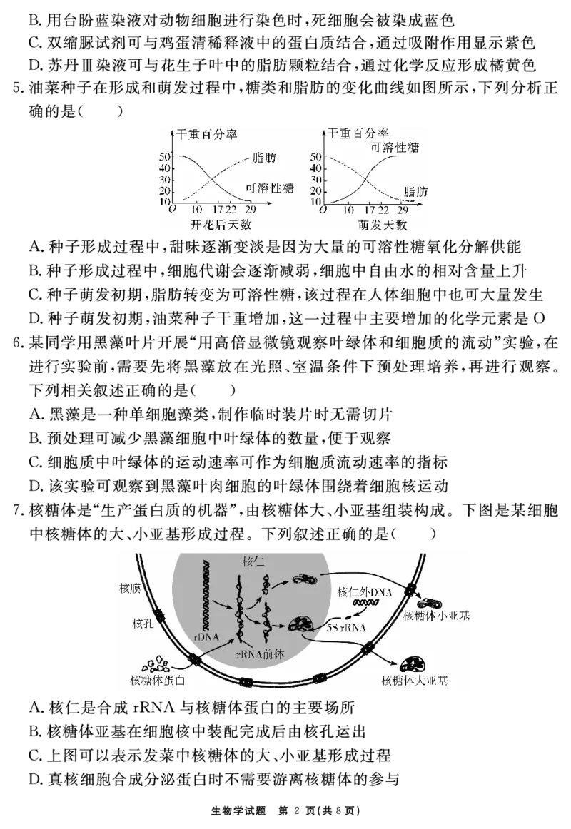 生物学试题_2025年11月高一试卷_251127安徽省2025-2026学年度&ldquo;耀正优+&rdquo;高一年级（上）期中学情检测（全）