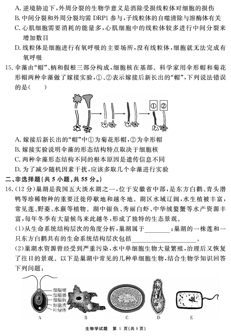 生物学试题_2025年11月高一试卷_251127安徽省2025-2026学年度&ldquo;耀正优+&rdquo;高一年级（上）期中学情检测（全）