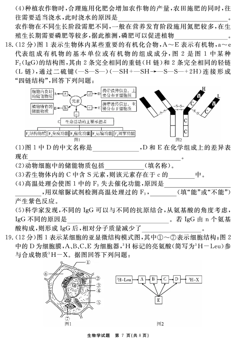 生物学试题_2025年11月高一试卷_251127安徽省2025-2026学年度&ldquo;耀正优+&rdquo;高一年级（上）期中学情检测（全）