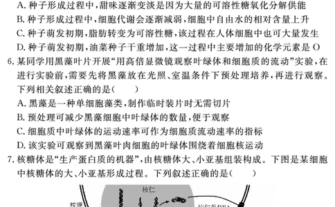 生物学试题_2025年11月高一试卷_251127安徽省2025-2026学年度&ldquo;耀正优+&rdquo;高一年级（上）期中学情检测（全）