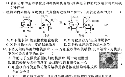 生物学试题_2025年11月高一试卷_251127安徽省2025-2026学年度&ldquo;耀正优+&rdquo;高一年级（上）期中学情检测（全）