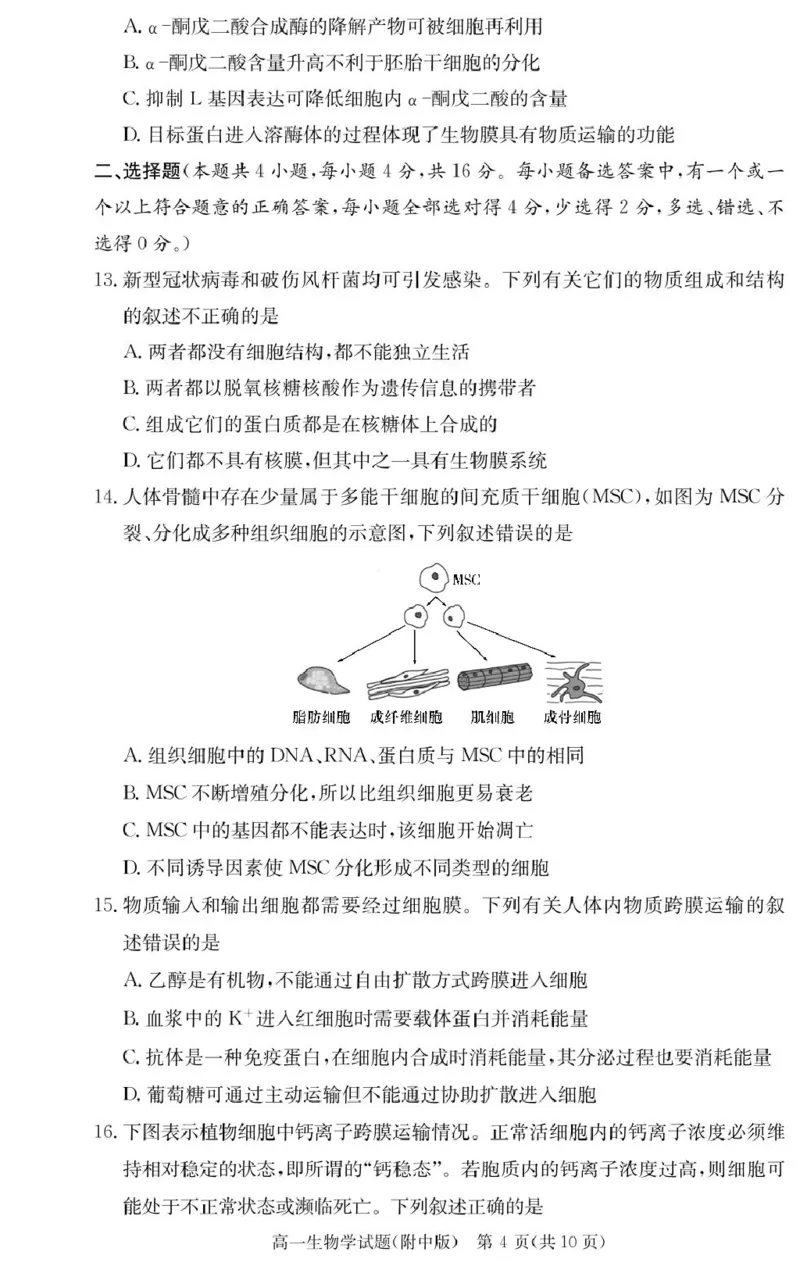 生物试卷（附中高一入学2期）_2025年02月试卷_0227湖南师范大学附属中学2024-2025学年高一下学期入学考试