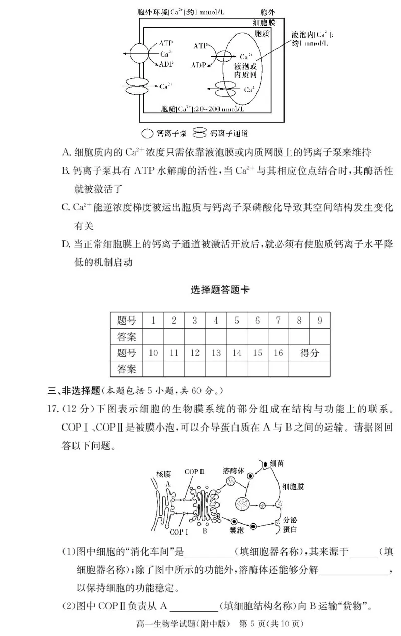 生物试卷（附中高一入学2期）_2025年02月试卷_0227湖南师范大学附属中学2024-2025学年高一下学期入学考试