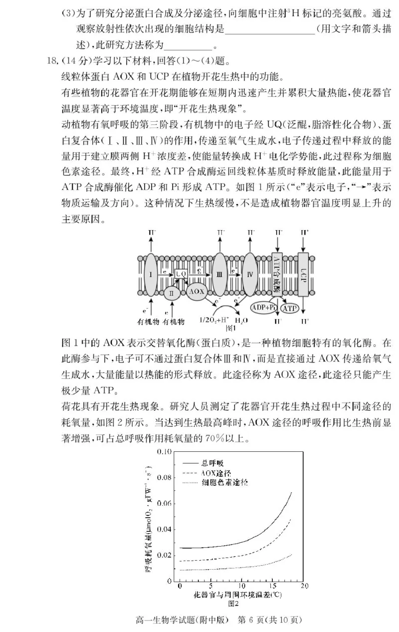 生物试卷（附中高一入学2期）_2025年02月试卷_0227湖南师范大学附属中学2024-2025学年高一下学期入学考试