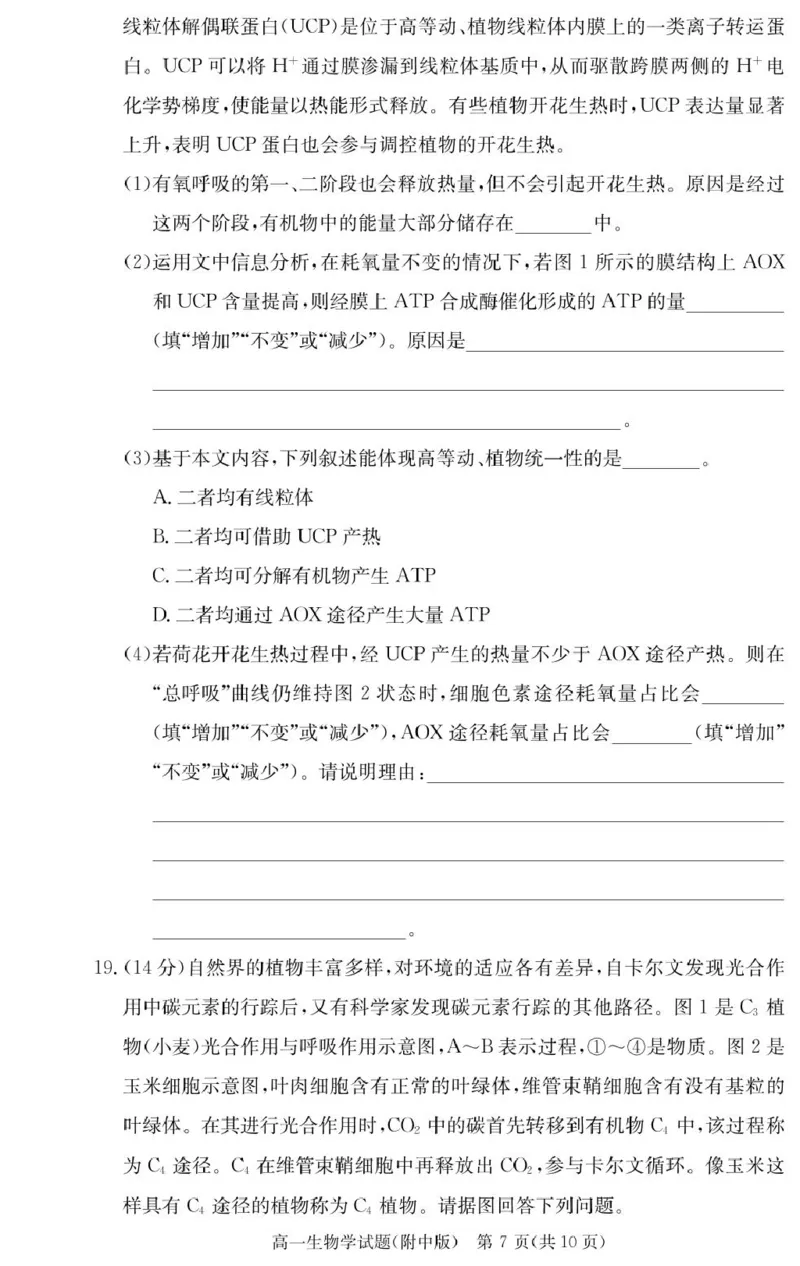 生物试卷（附中高一入学2期）_2025年02月试卷_0227湖南师范大学附属中学2024-2025学年高一下学期入学考试