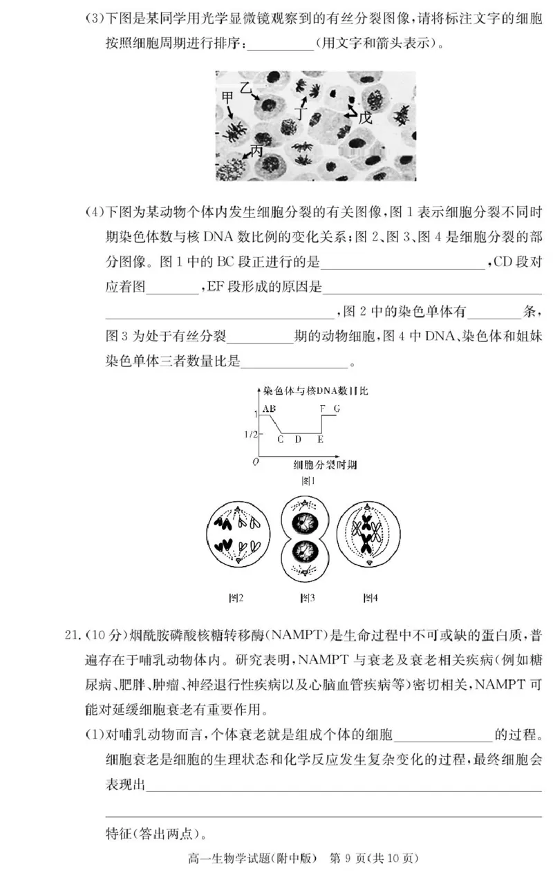 生物试卷（附中高一入学2期）_2025年02月试卷_0227湖南师范大学附属中学2024-2025学年高一下学期入学考试