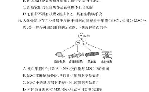 生物试卷（附中高一入学2期）_2025年02月试卷_0227湖南师范大学附属中学2024-2025学年高一下学期入学考试