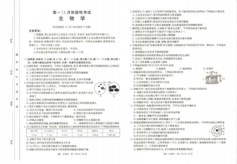生物试题_2024年11月试卷_1129金太阳广西名校联盟2024-2025学年高一上学期11月期中教学质量检测_广西名校联盟2024-2025学年高一上学期11月期中阶段性考试生物试题含答案
