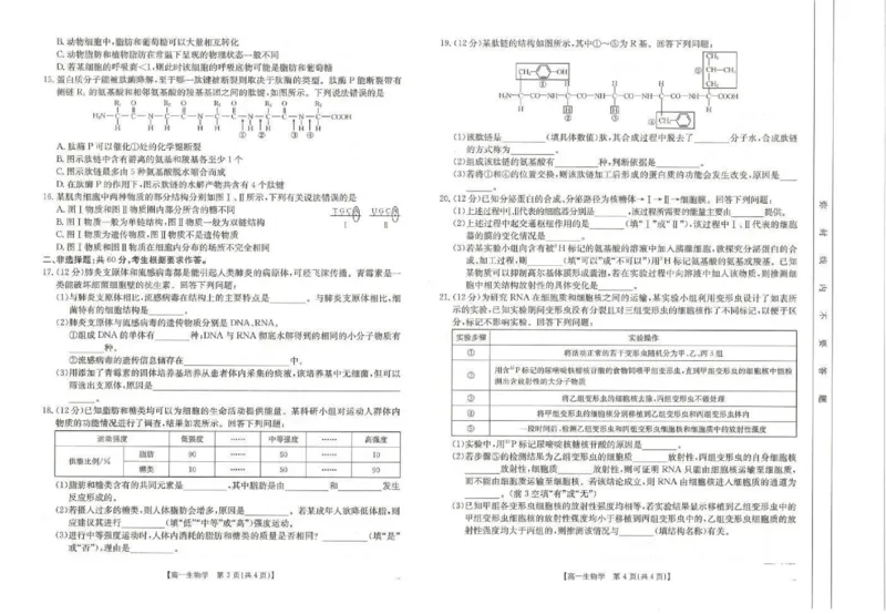 生物试题_2024年11月试卷_1129金太阳广西名校联盟2024-2025学年高一上学期11月期中教学质量检测_广西名校联盟2024-2025学年高一上学期11月期中阶段性考试生物试题含答案