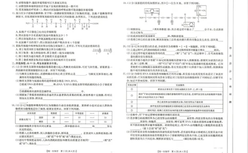 生物试题_2024年11月试卷_1129金太阳广西名校联盟2024-2025学年高一上学期11月期中教学质量检测_广西名校联盟2024-2025学年高一上学期11月期中阶段性考试生物试题含答案