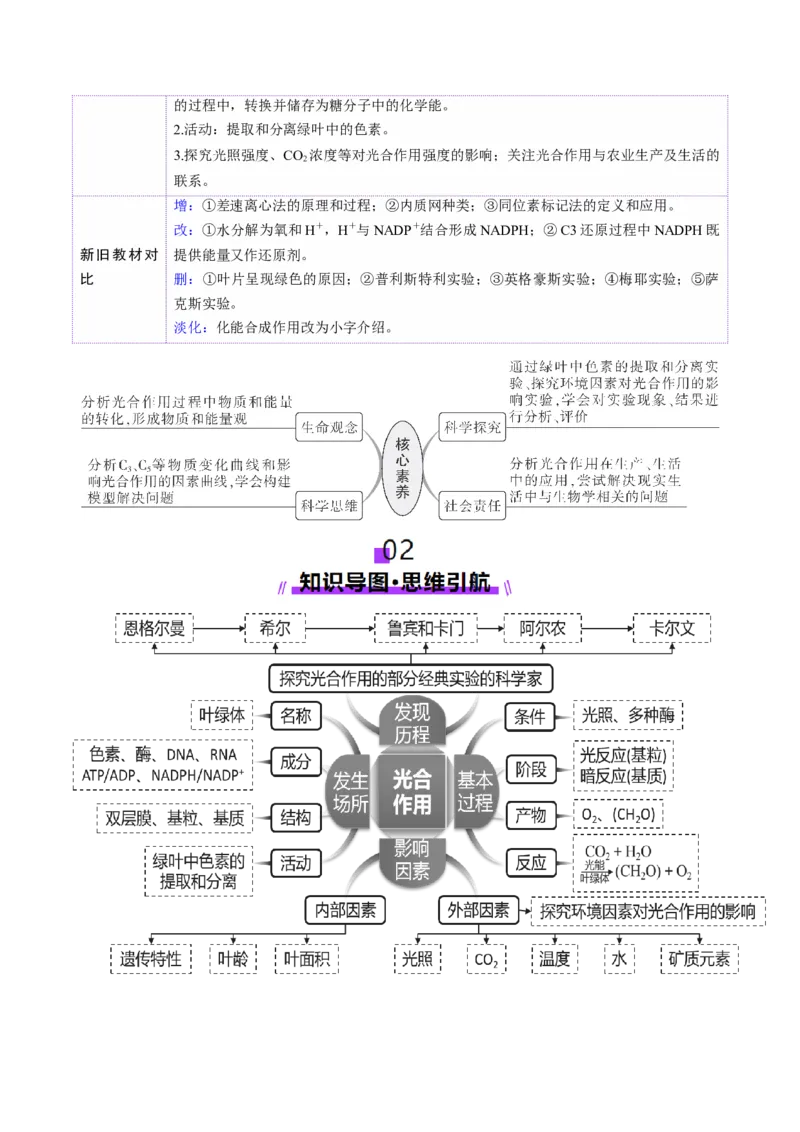 第10讲光合作用（第二课时）（讲义）（解析版）_2025年新高考资料_一轮复习_2025年高考生物一轮复习讲练测（新教材新高考）