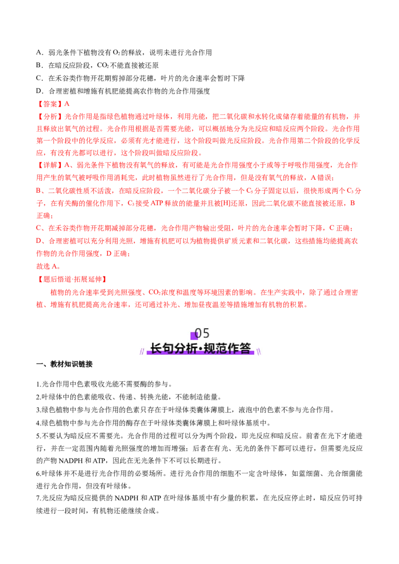 第10讲光合作用（第二课时）（讲义）（解析版）_2025年新高考资料_一轮复习_2025年高考生物一轮复习讲练测（新教材新高考）