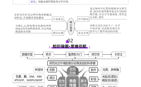 第10讲光合作用（第二课时）（讲义）（解析版）_2025年新高考资料_一轮复习_2025年高考生物一轮复习讲练测（新教材新高考）