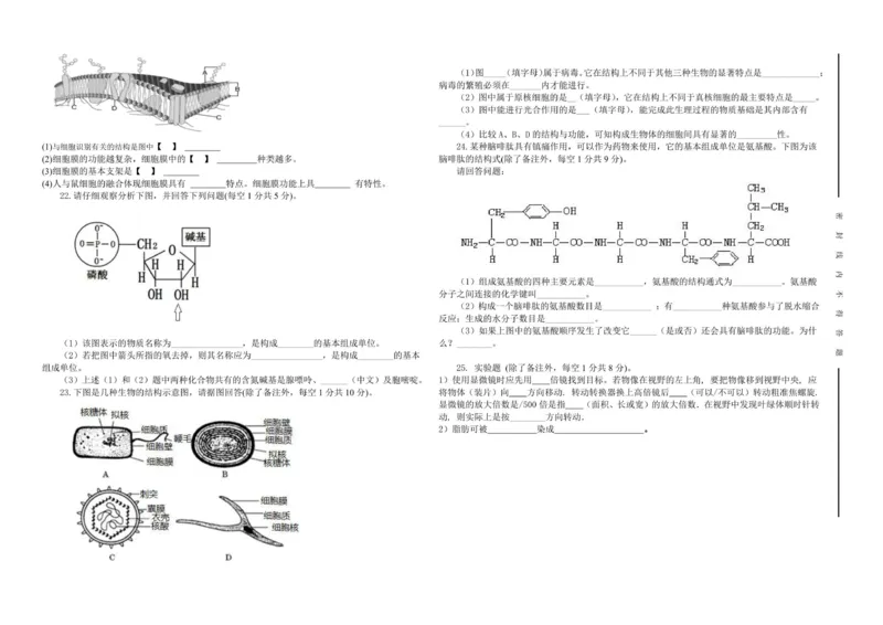 生物试卷_2025年11月高一试卷_251115新疆维吾尔自治区喀什地区疏附县2025-2026学年高一上学期11月期中（全）