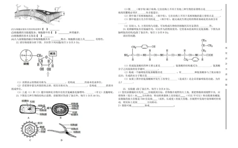 生物试卷_2025年11月高一试卷_251115新疆维吾尔自治区喀什地区疏附县2025-2026学年高一上学期11月期中（全）