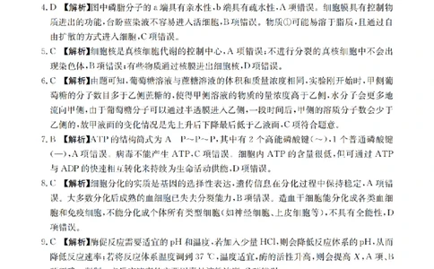 生物学答案_扫描版_2026年03月高一试卷_260326云南金太阳2025-2026学年高一下学期3月开学联考_云南省多校2025-2026学年高一下学期3月学情自测生物试题