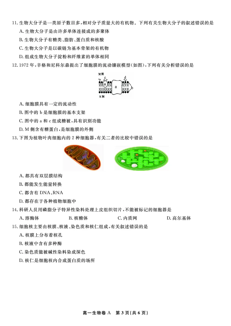 生物试题A&middot;安徽省皖江名校联盟2025-2026学年高一上学期期中联考_2025年11月高一试卷_251121安徽省皖江名校联盟2025-2026学年高一上学期期中联考（全）