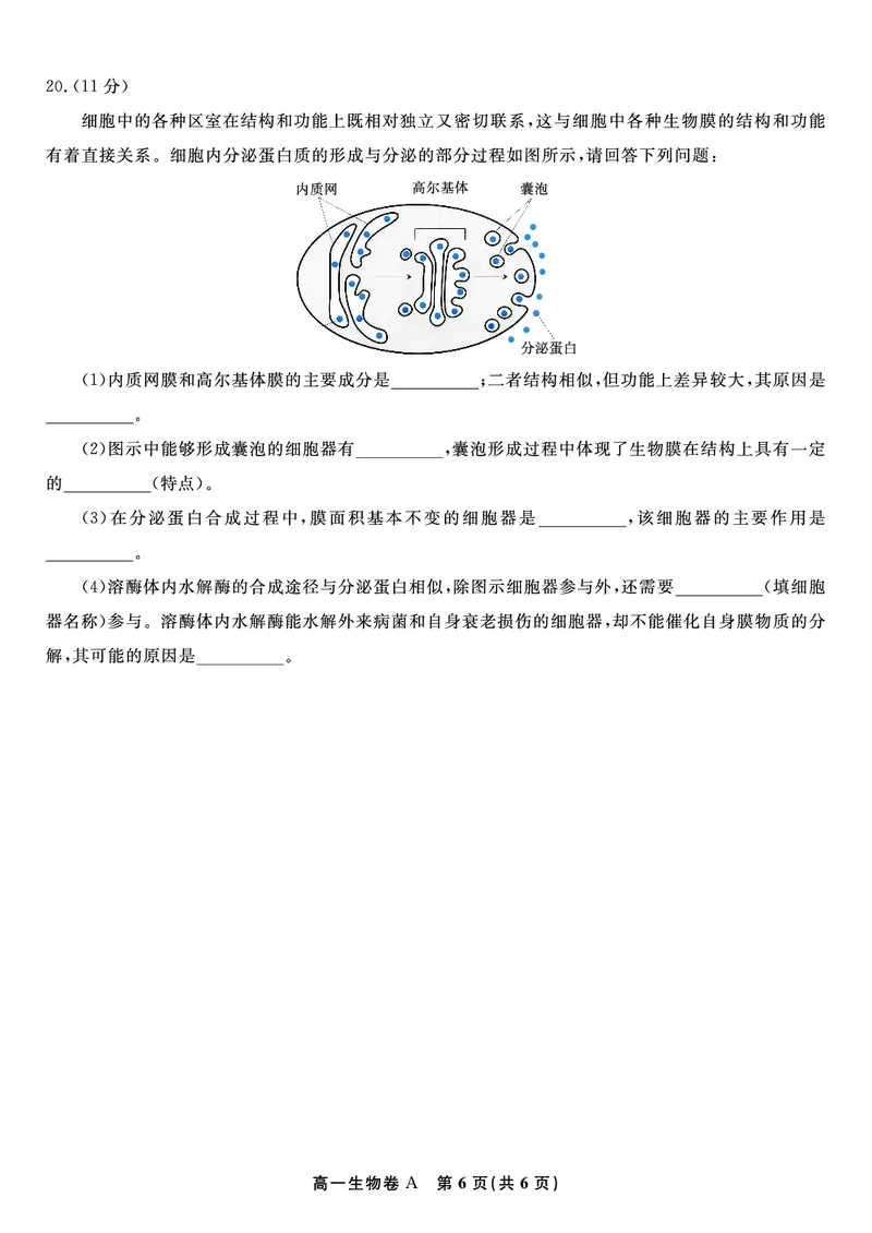 生物试题A&middot;安徽省皖江名校联盟2025-2026学年高一上学期期中联考_2025年11月高一试卷_251121安徽省皖江名校联盟2025-2026学年高一上学期期中联考（全）