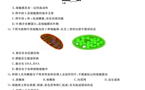 生物试题A&middot;安徽省皖江名校联盟2025-2026学年高一上学期期中联考_2025年11月高一试卷_251121安徽省皖江名校联盟2025-2026学年高一上学期期中联考（全）