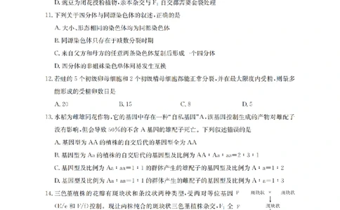 生物试题卷_2026年04月高一试卷_260426河南省南阳市金太阳联考2026年春季高一年级阶段性学情检测（全科）