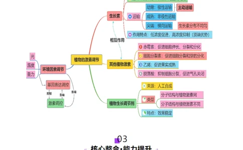第13讲+植物生命活动的调节（讲义）（解析版）_2025年新高考资料_二轮复习_上好课2025年高考生物二轮复习讲练测（新高考通用）3380526