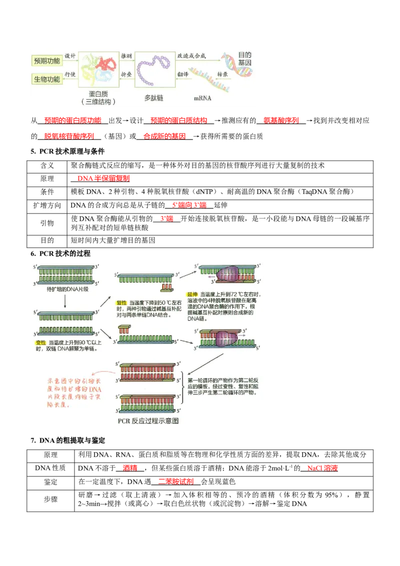 第13讲生物技术与工程（讲练）（解析版）_新高考复习资料_2023年新高考复习资料_二轮复习_2023年高考生物二轮复习讲练测（新教材专用）