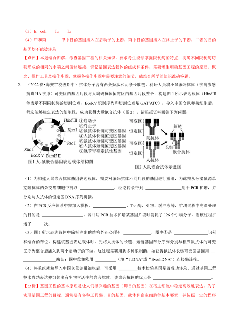第13讲生物技术与工程（讲练）（解析版）_新高考复习资料_2023年新高考复习资料_二轮复习_2023年高考生物二轮复习讲练测（新教材专用）