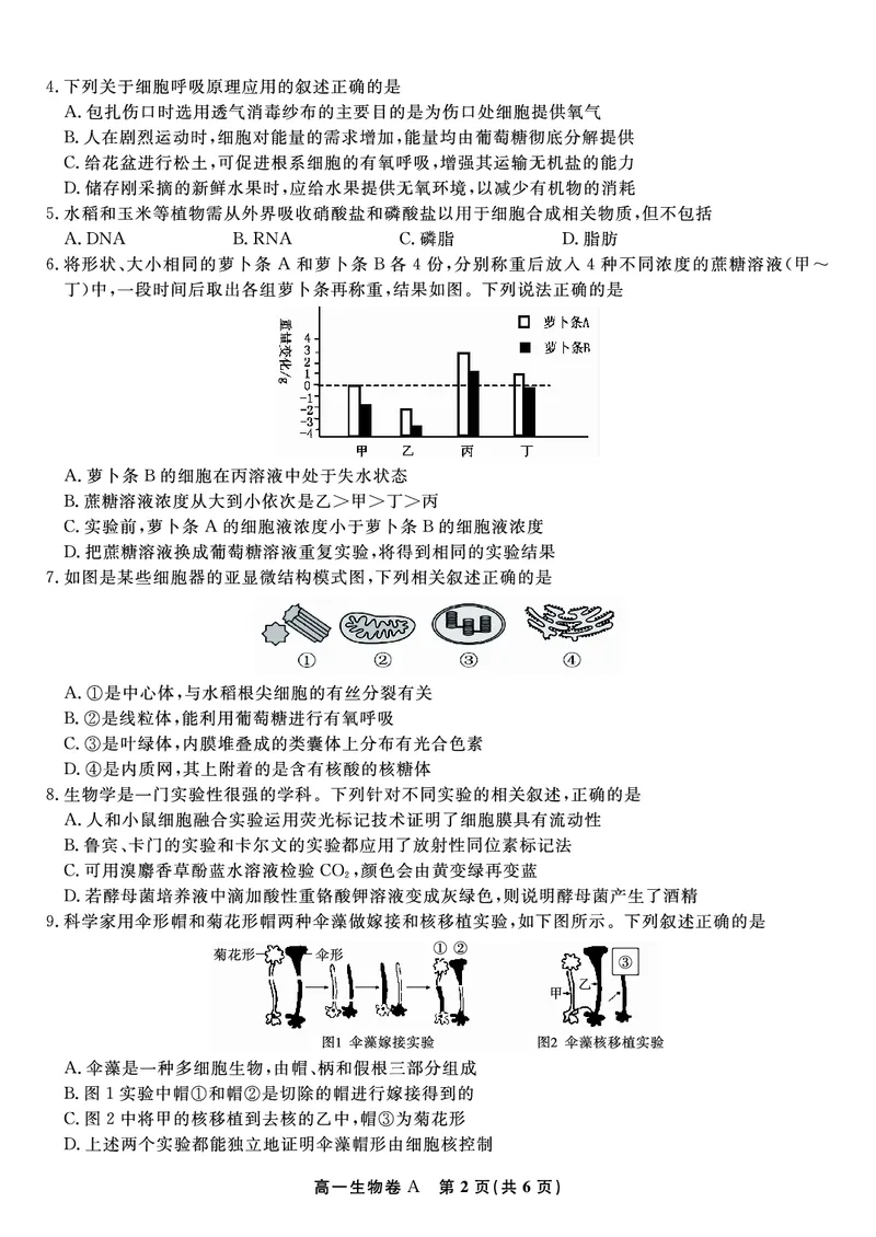 生物试题A&middot;2026年2月高一期末_2026年02月高一试卷_260208安徽省皖江名校联盟2025-2026学年上学期高一期末考试（全）